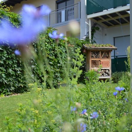 Gaestehaus Schmidt Podersdorf am See Esterno foto