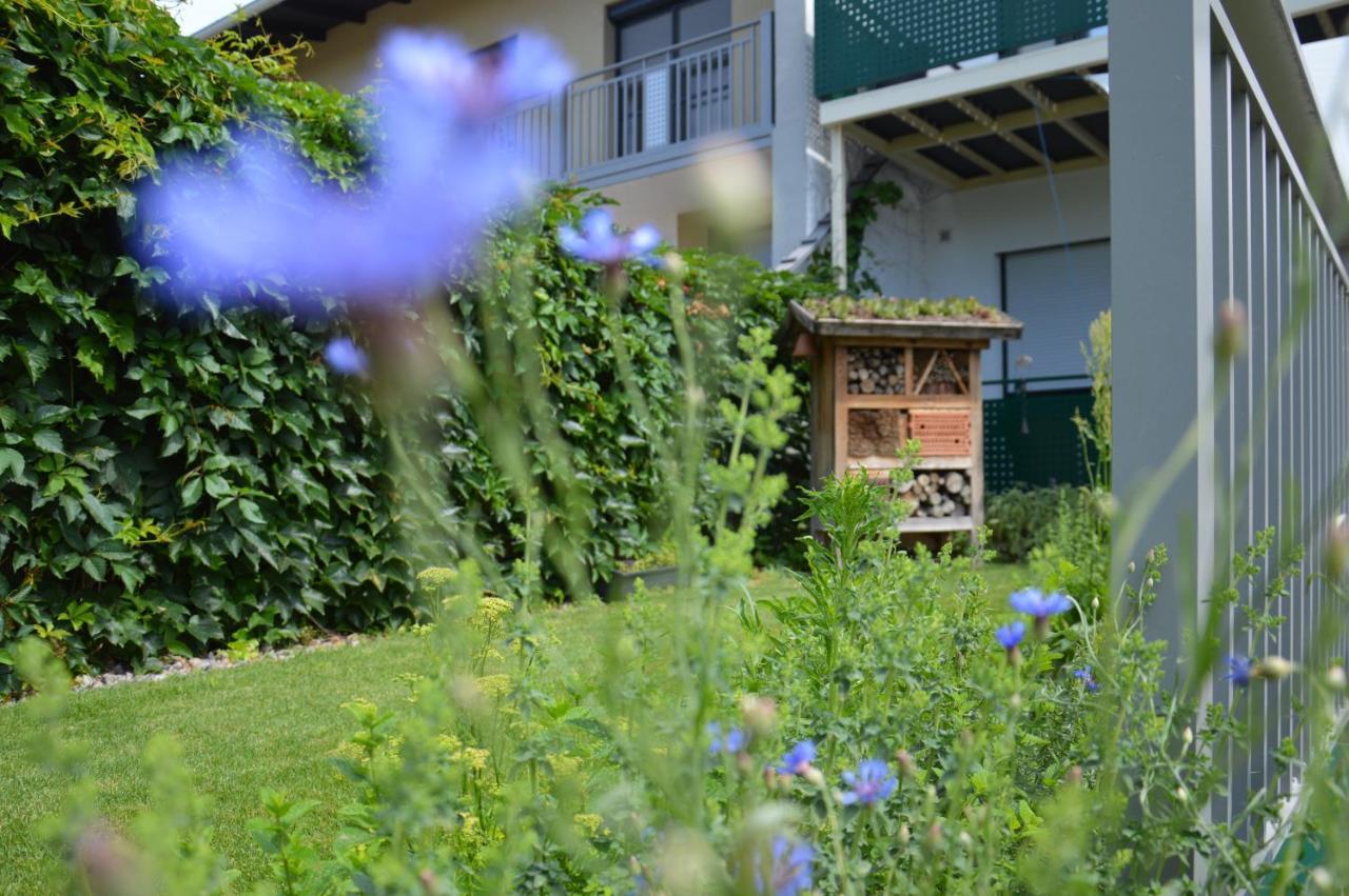 Gaestehaus Schmidt Podersdorf am See Esterno foto